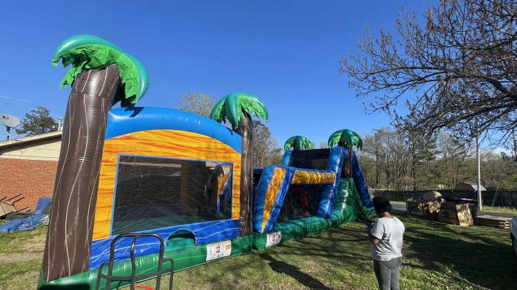 TROPICAL PALM TREES OBSTACLE COURSE
